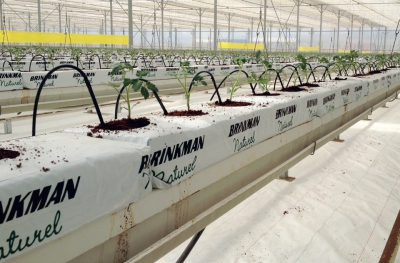 A Bio-Grow és a Brinkman Hungary együttműködése